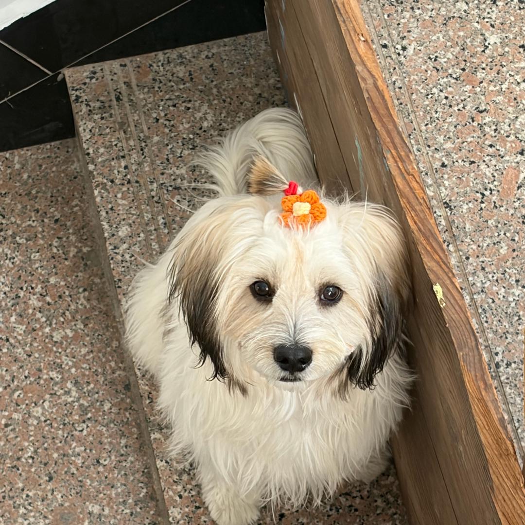 阿楠做什么都会成功