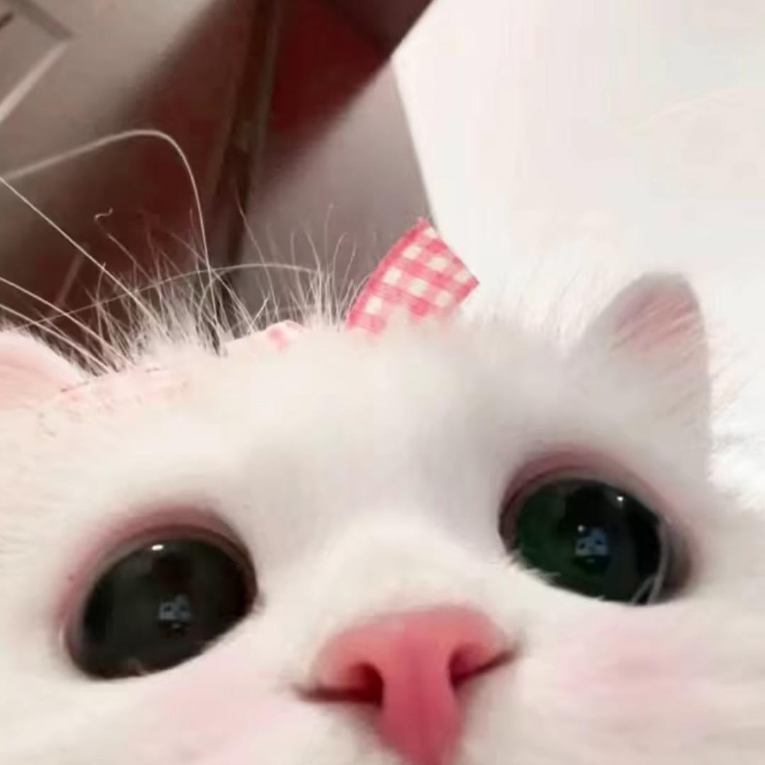 开心荷包蛋