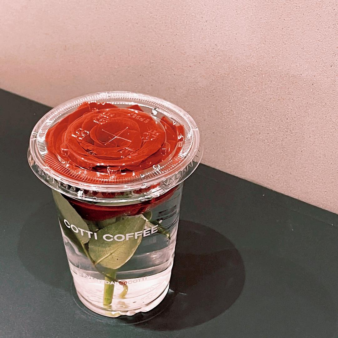 楊杨的一天到晚