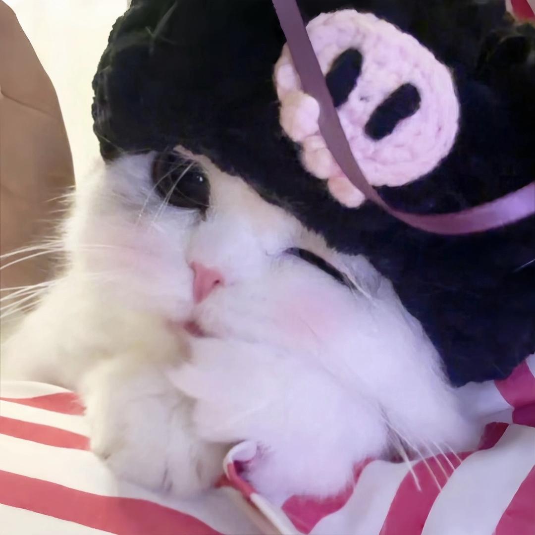 熊