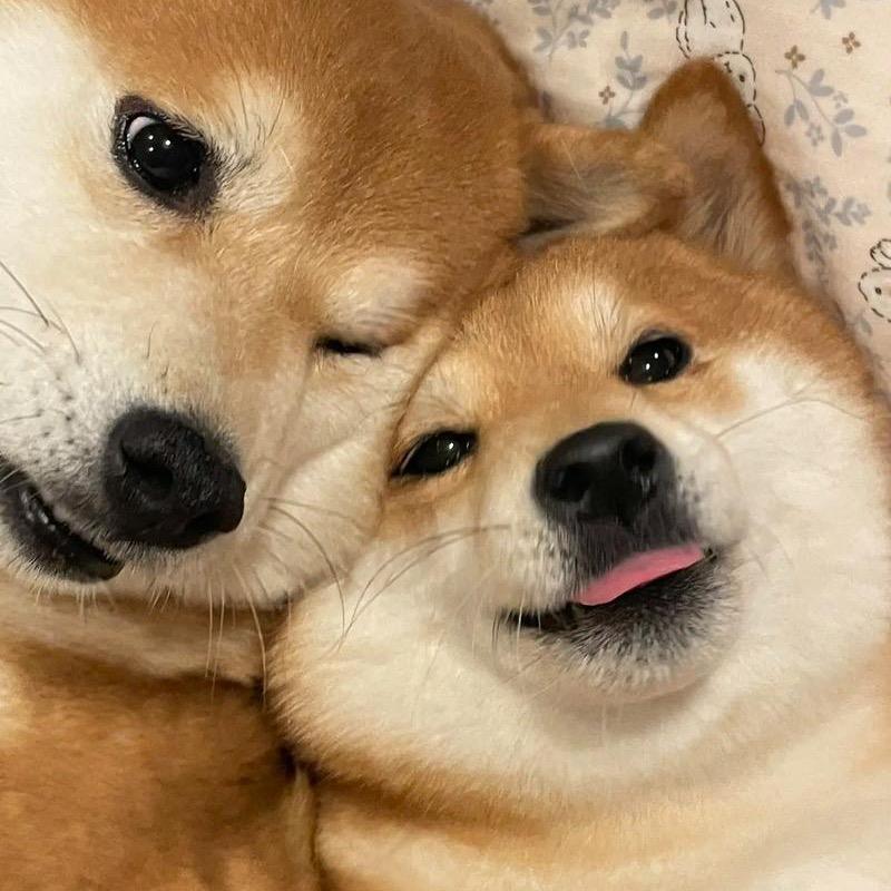 果届鑫澜（新鲜水果产地直发）