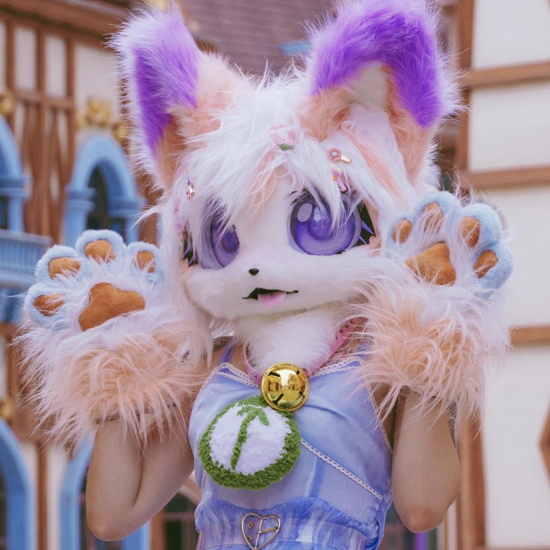 八宝街cat