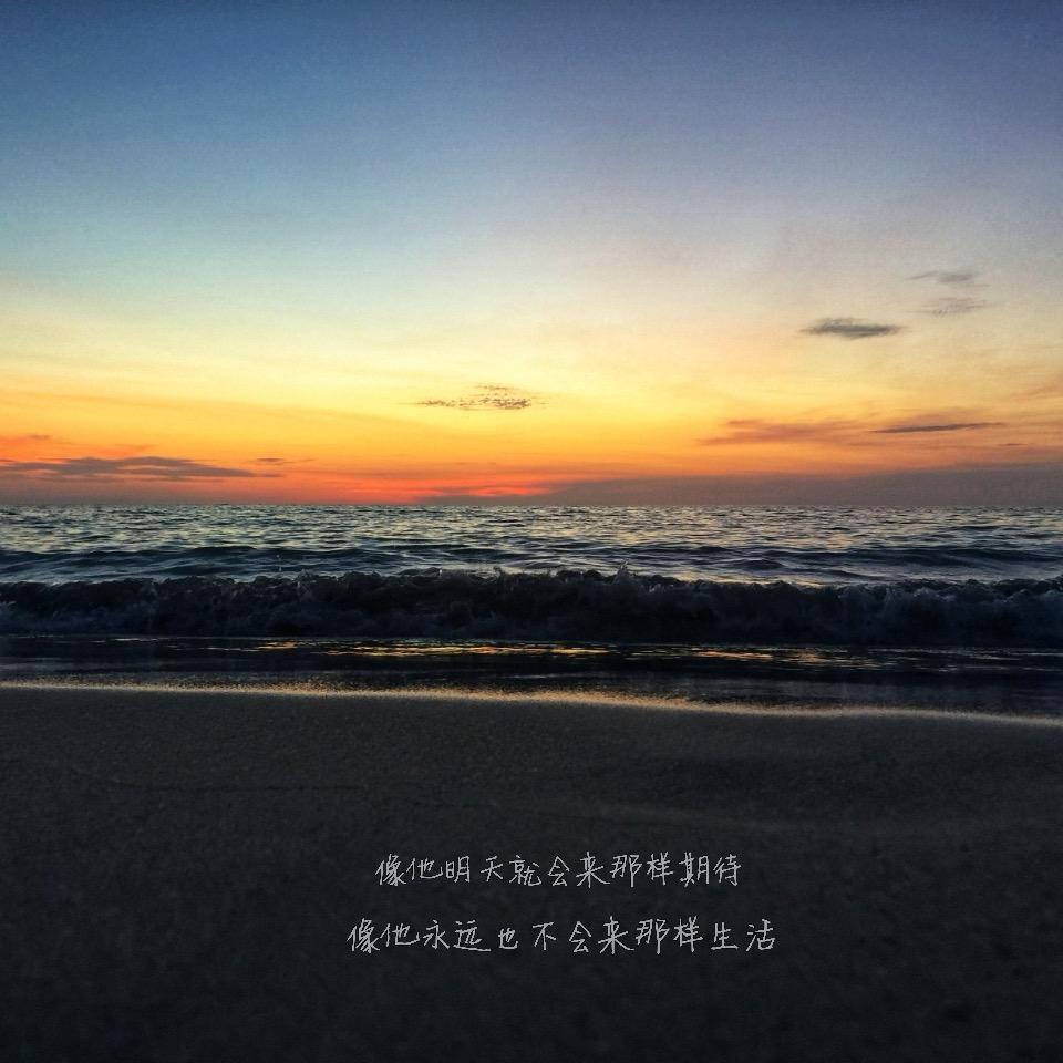 悠悠哉