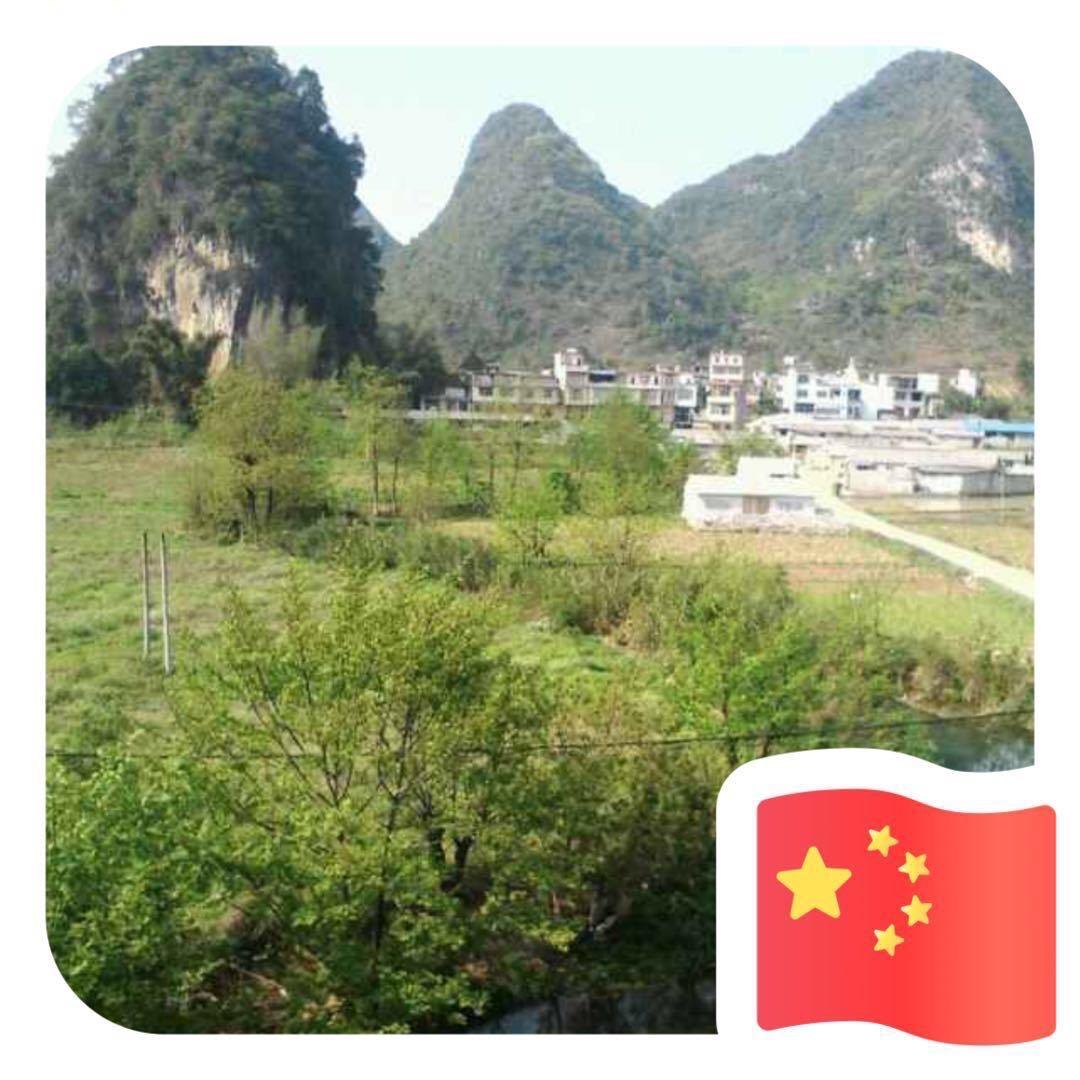 奋斗小青年