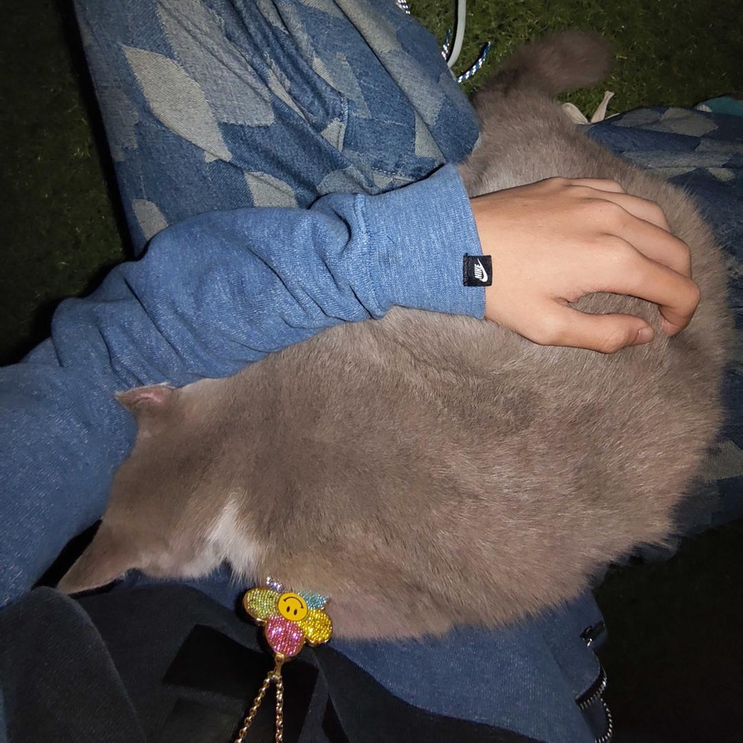 彗