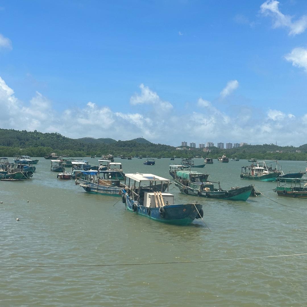 海记海产品（晓琴）