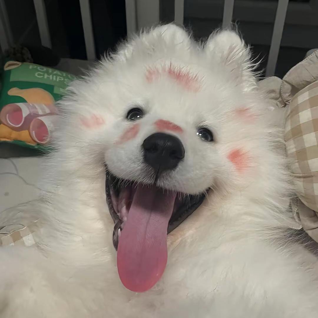 睡个好觉