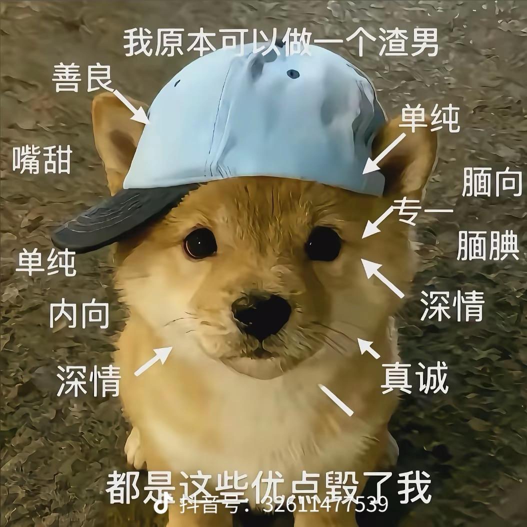 我是一个好人