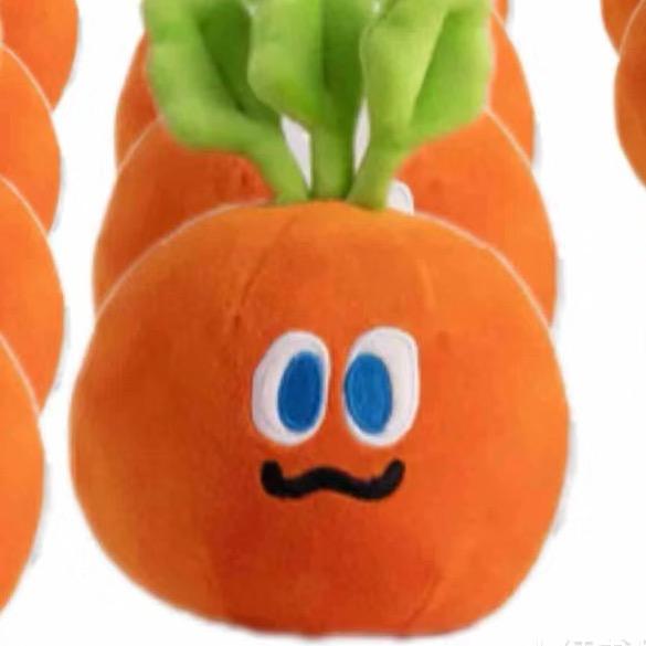 🍎一颗胡苹果🥕