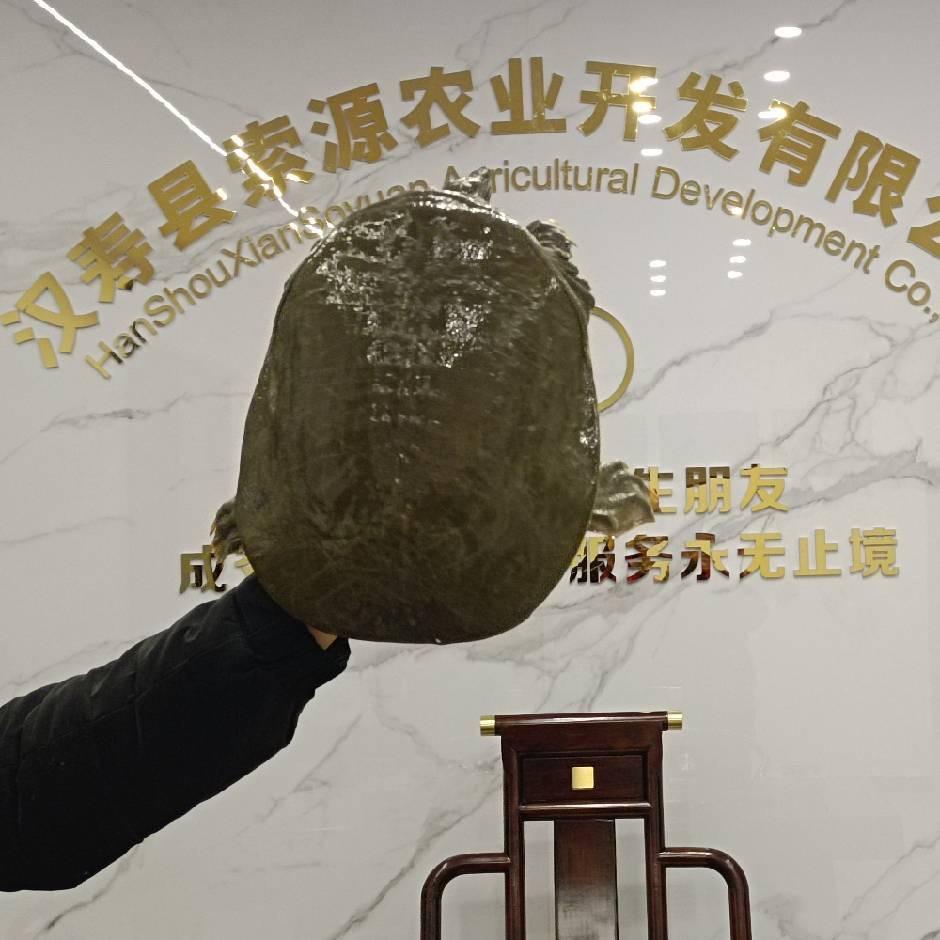 索源水产