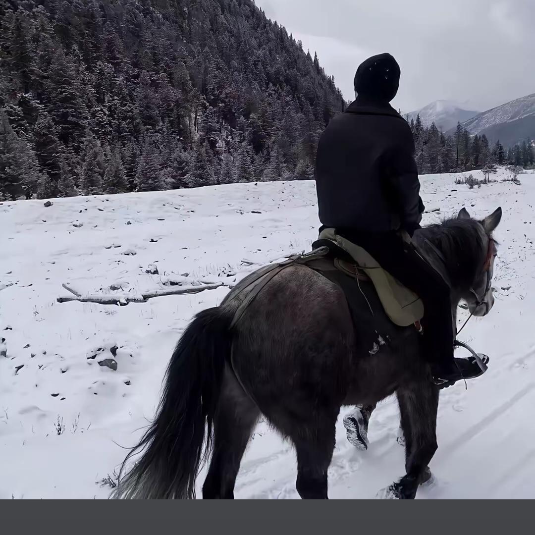 火车(三角洲行动)