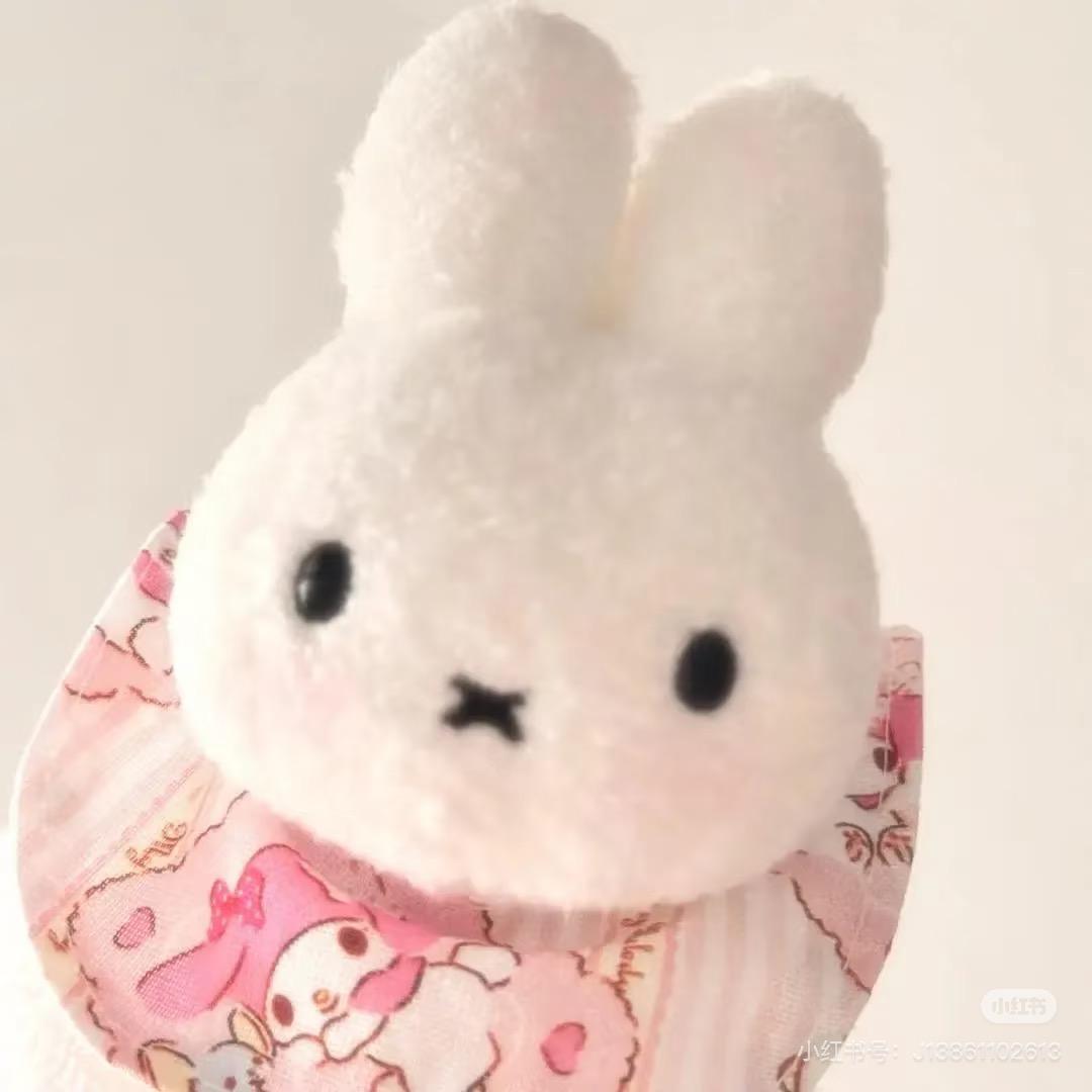halo小璐
