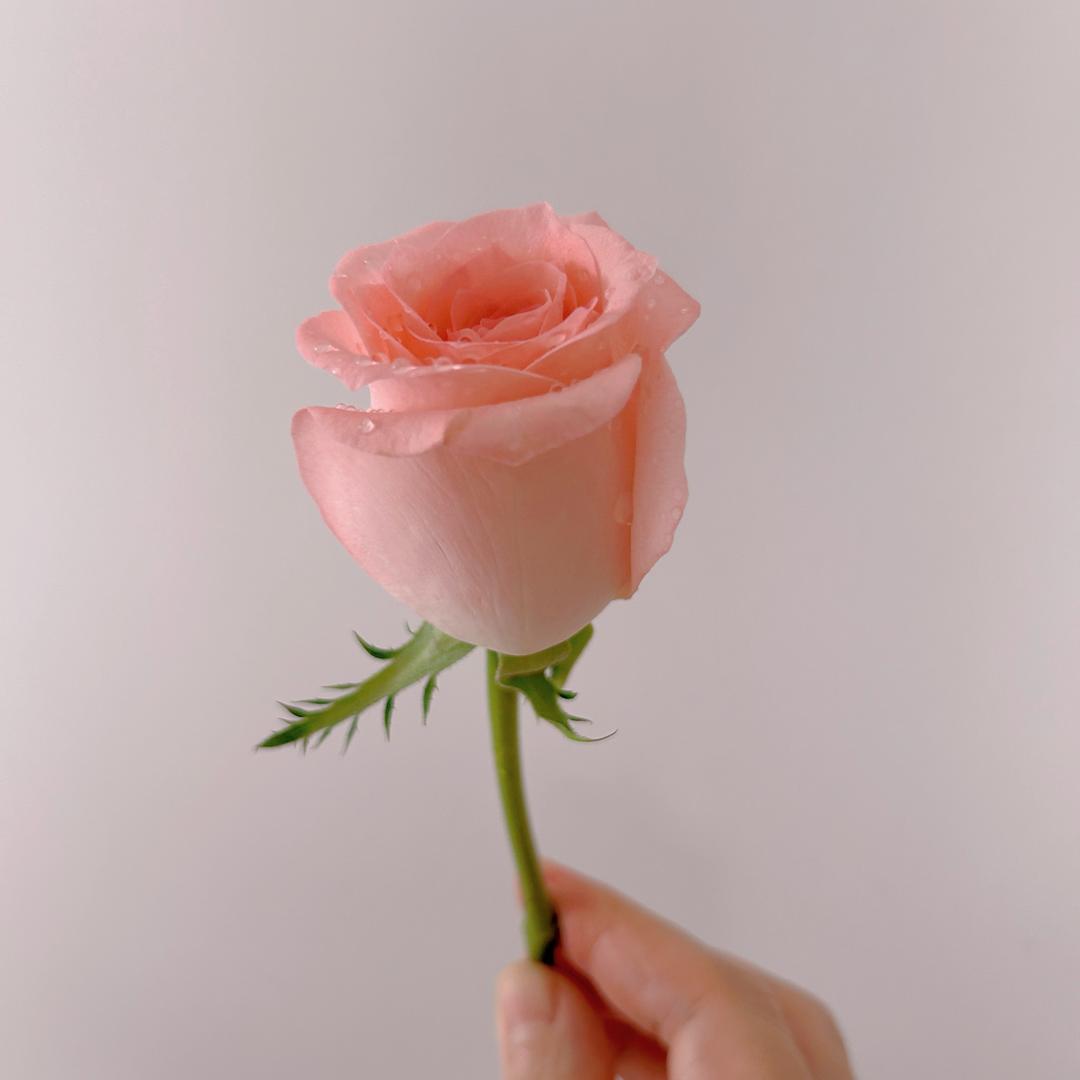 优悠