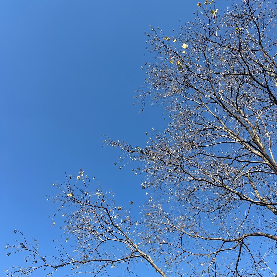 周口电信小颖播报