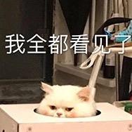 大 白