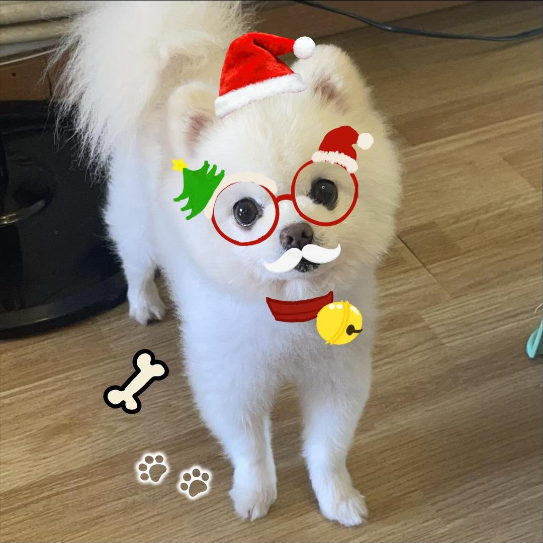 嘟嘟（冬天不骑车）