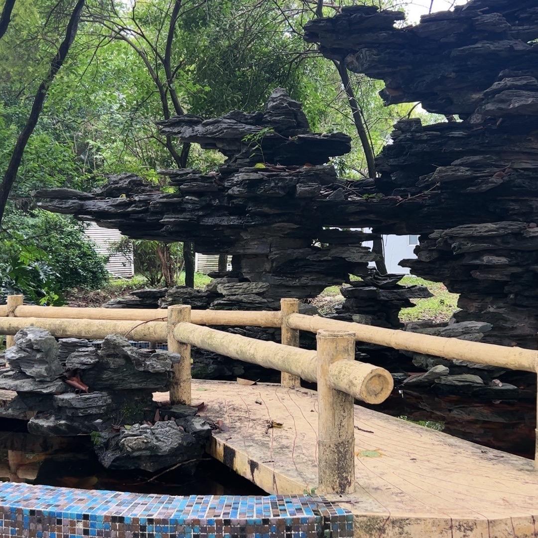 往后余生只为自己