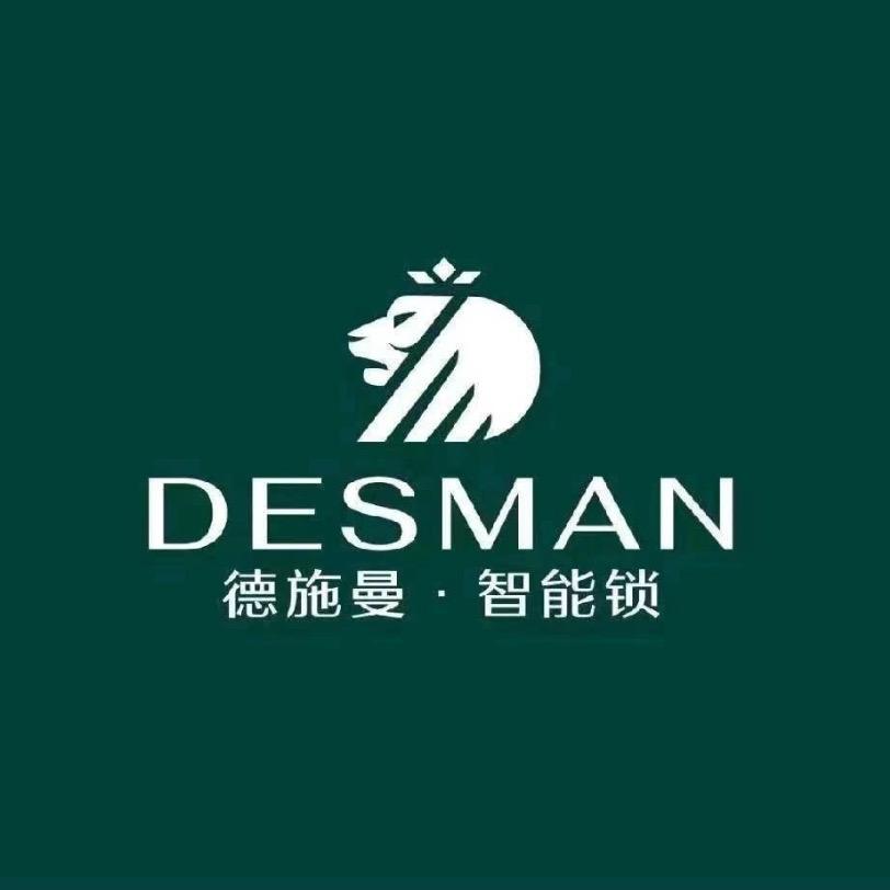 德施曼智能锁红星美凯龙店