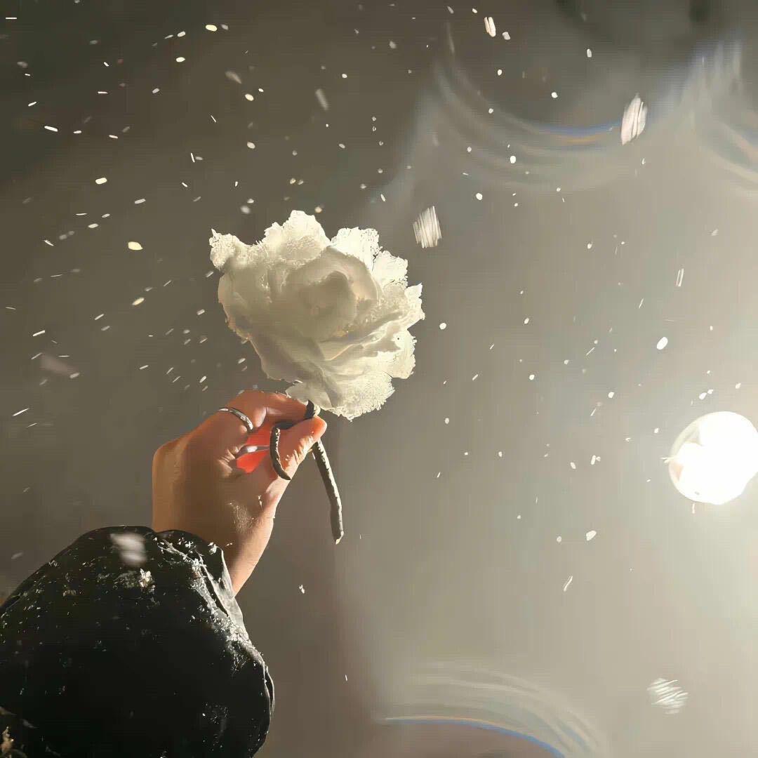 随风起成为自己