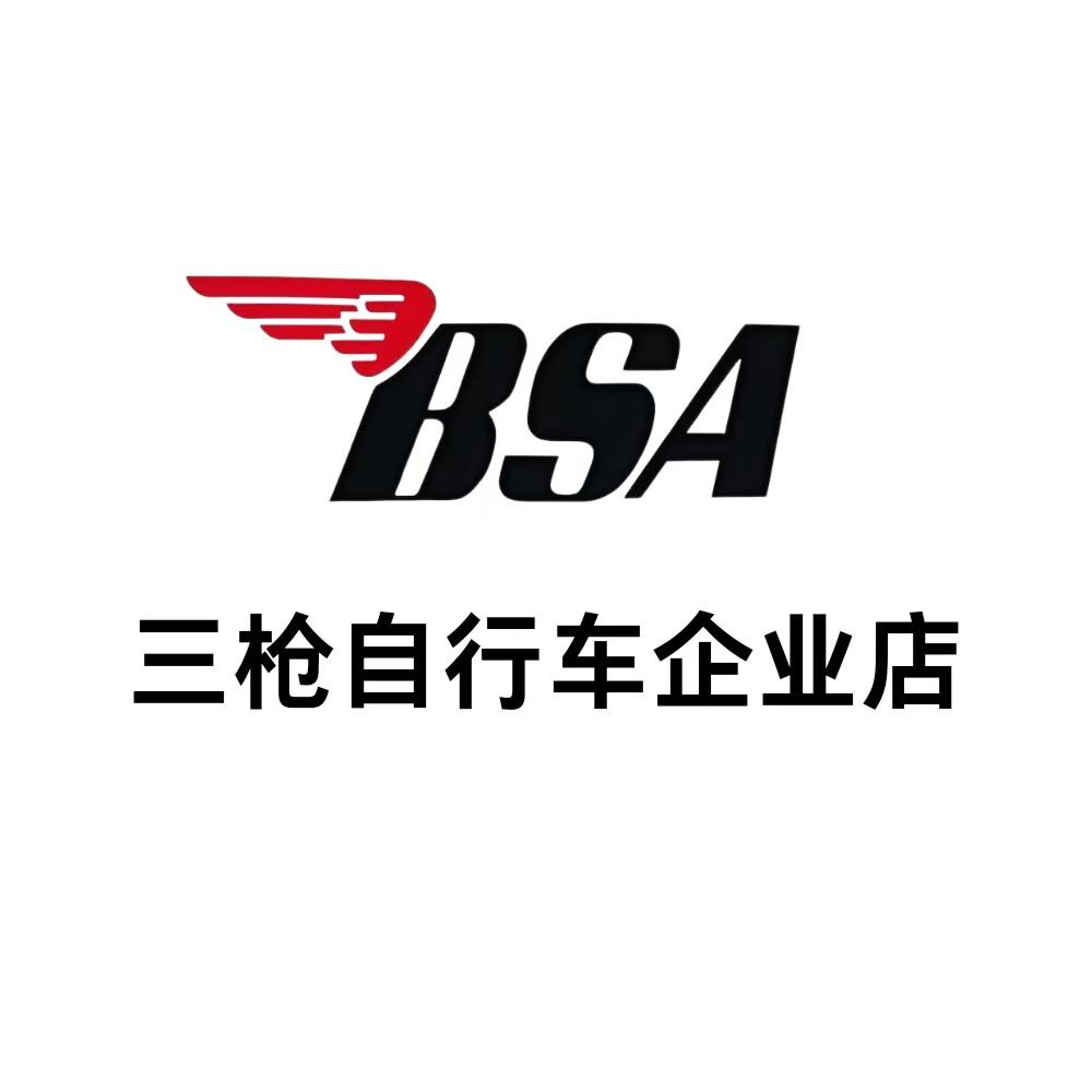 三枪自行车企业店