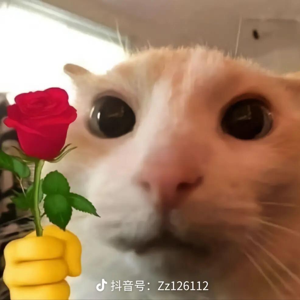 建筑达人