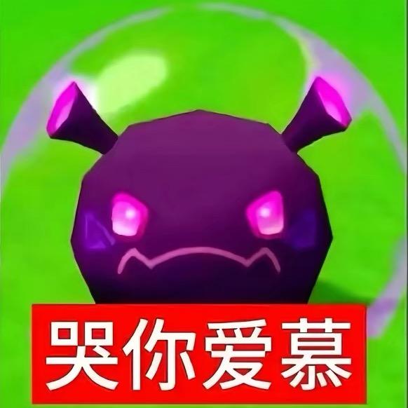 小白