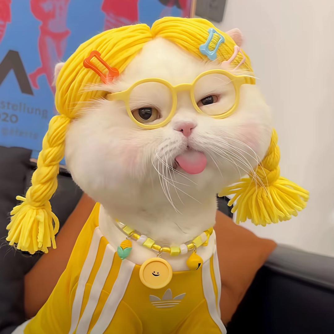 犯困小蛋挞 ☡ zᶻ ⌁