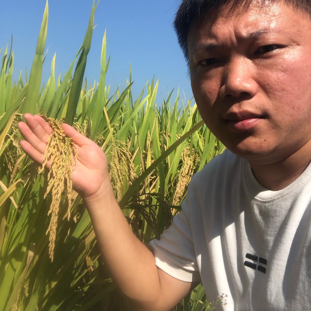 中迅农药信阳区域负责人——李岳