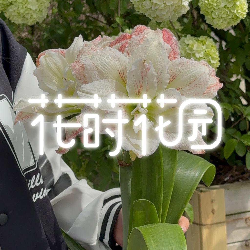 花莳花园