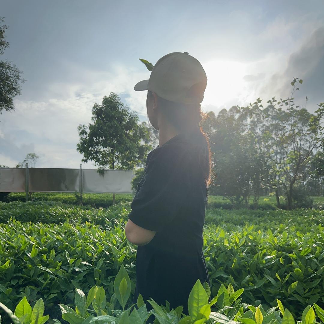 小丽爱生活