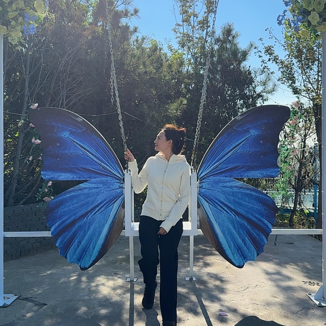 佳友盘扣轮扣，租赁