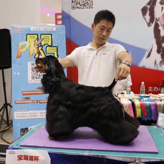 韩咪宠物→韩俊明