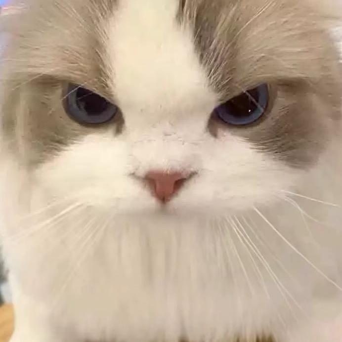 證