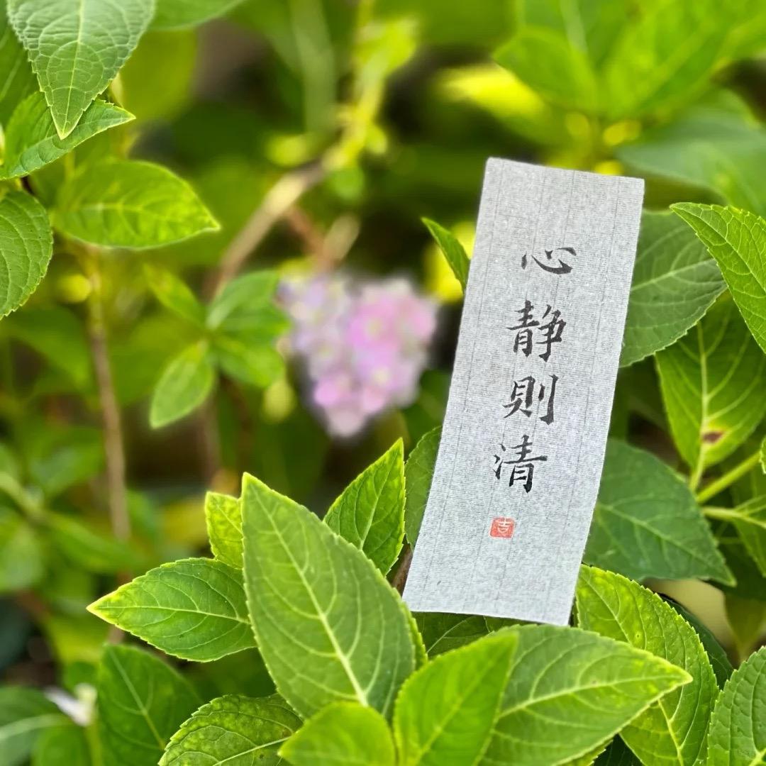 ❤️Wangᰔ❤️