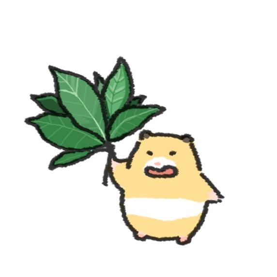 大壮o