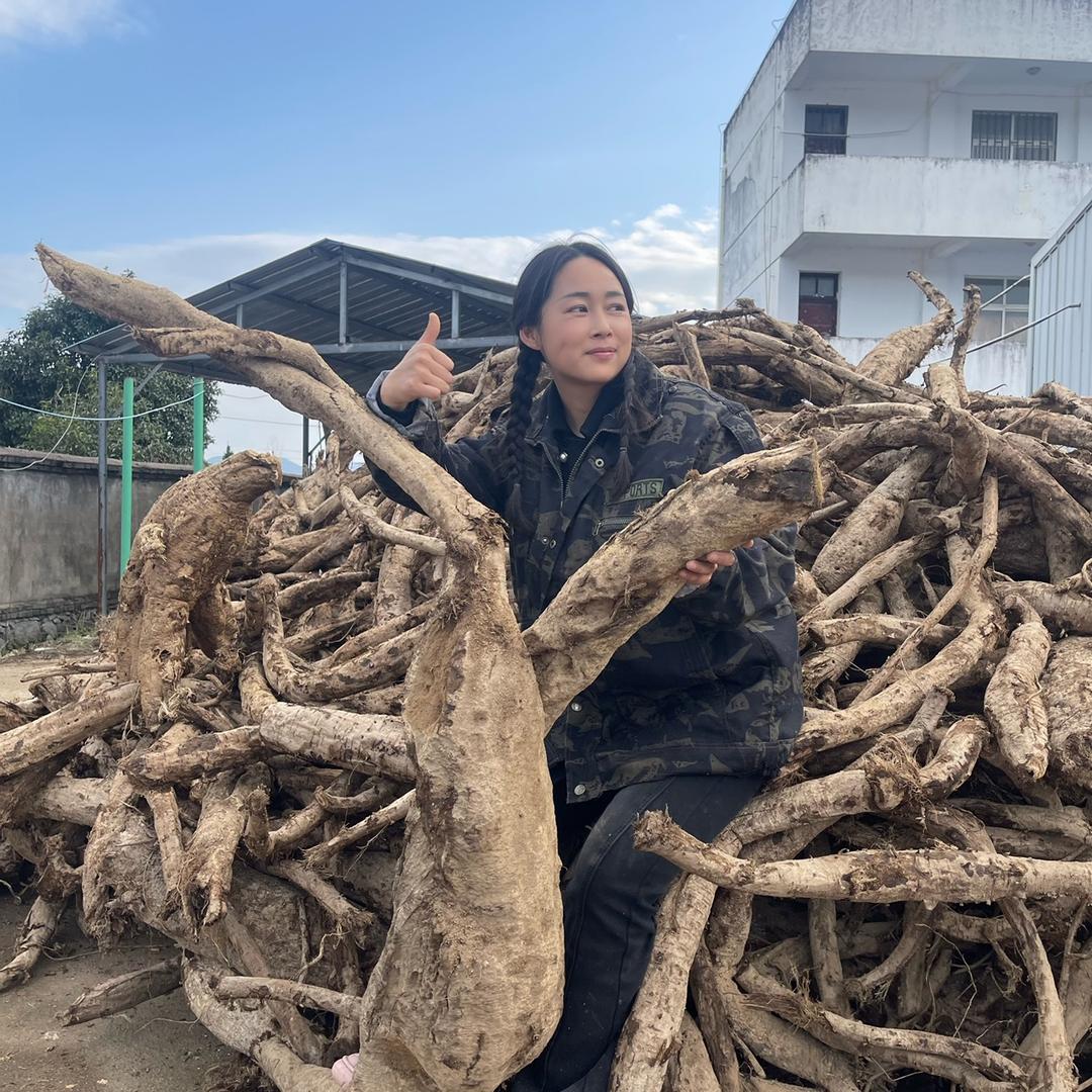 葛根妹