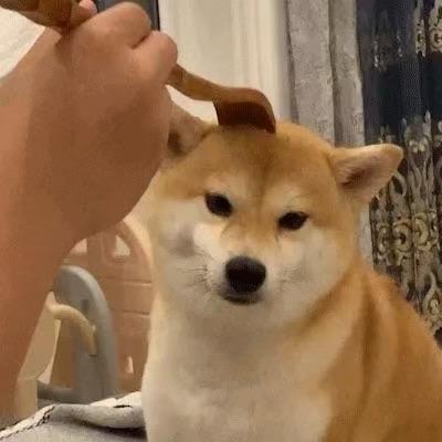 UilMI