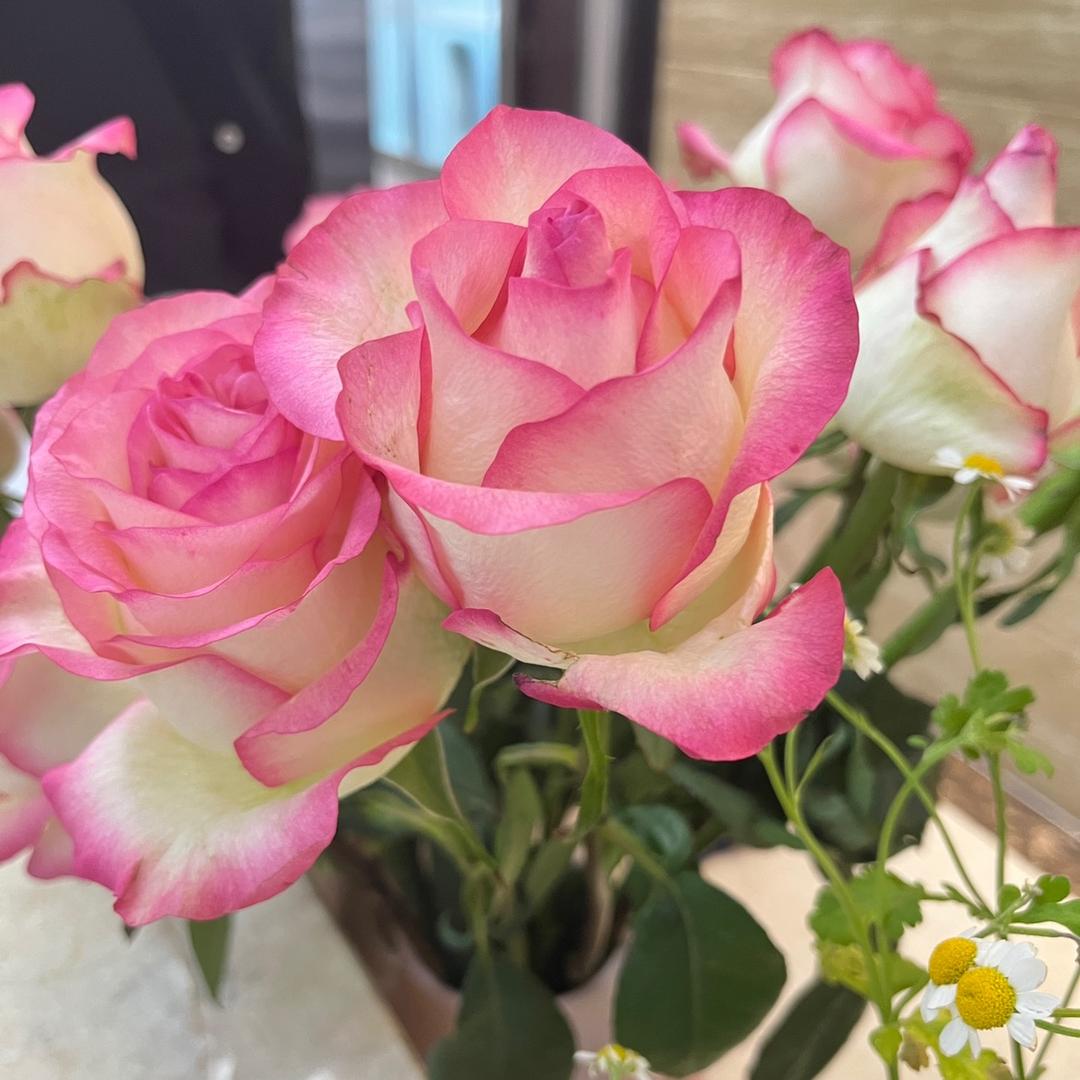 ʚ幸运满格๑ຼ๑ꦿ