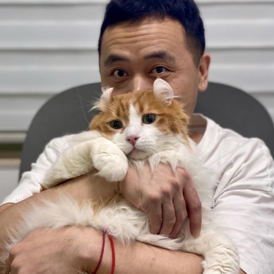 慵懒老陈和Ta们🐶🐱