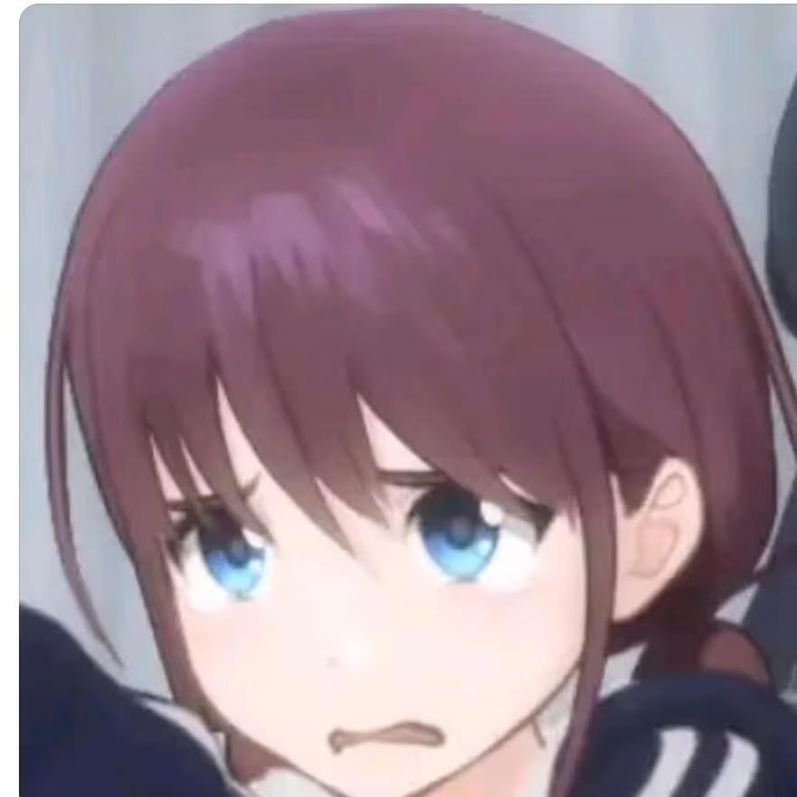 安利猫