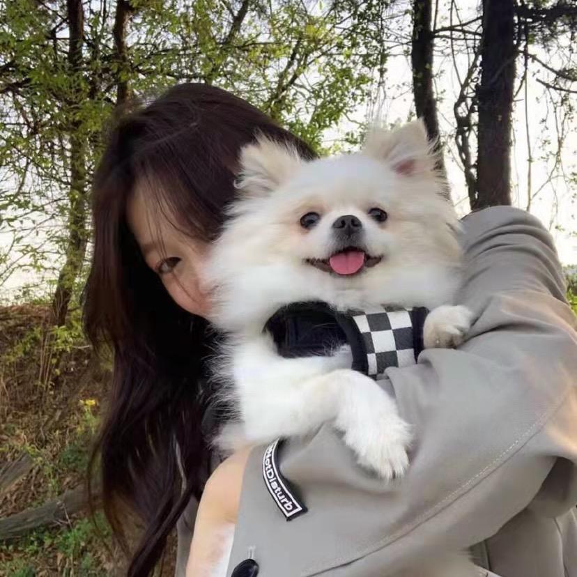 萱崽