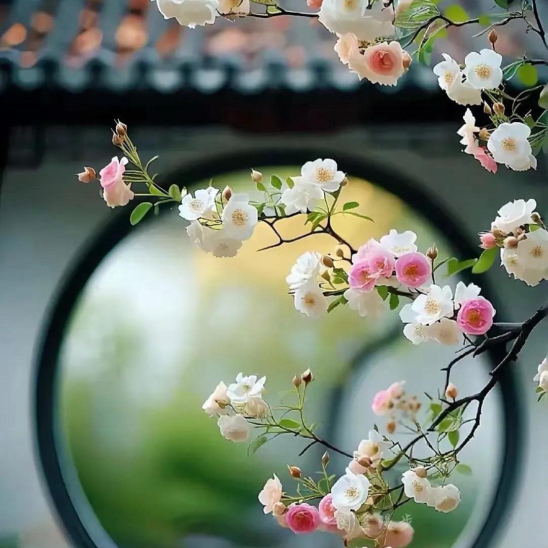 悠悠