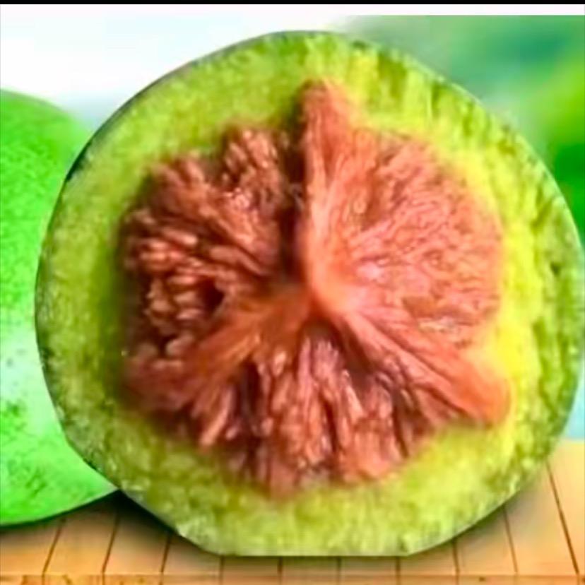核云社青皮