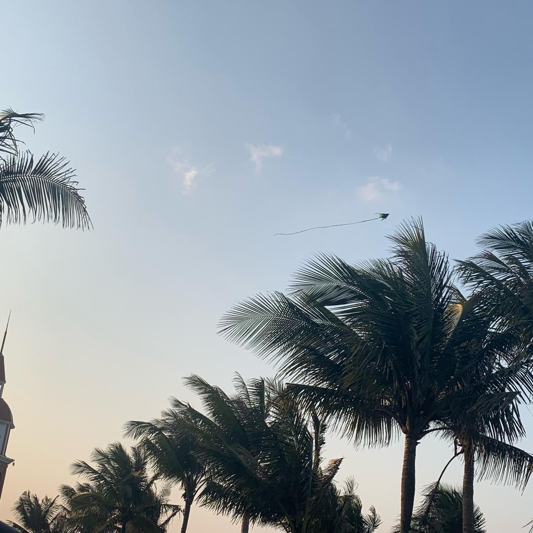 🏝️点杯生椰拿铁