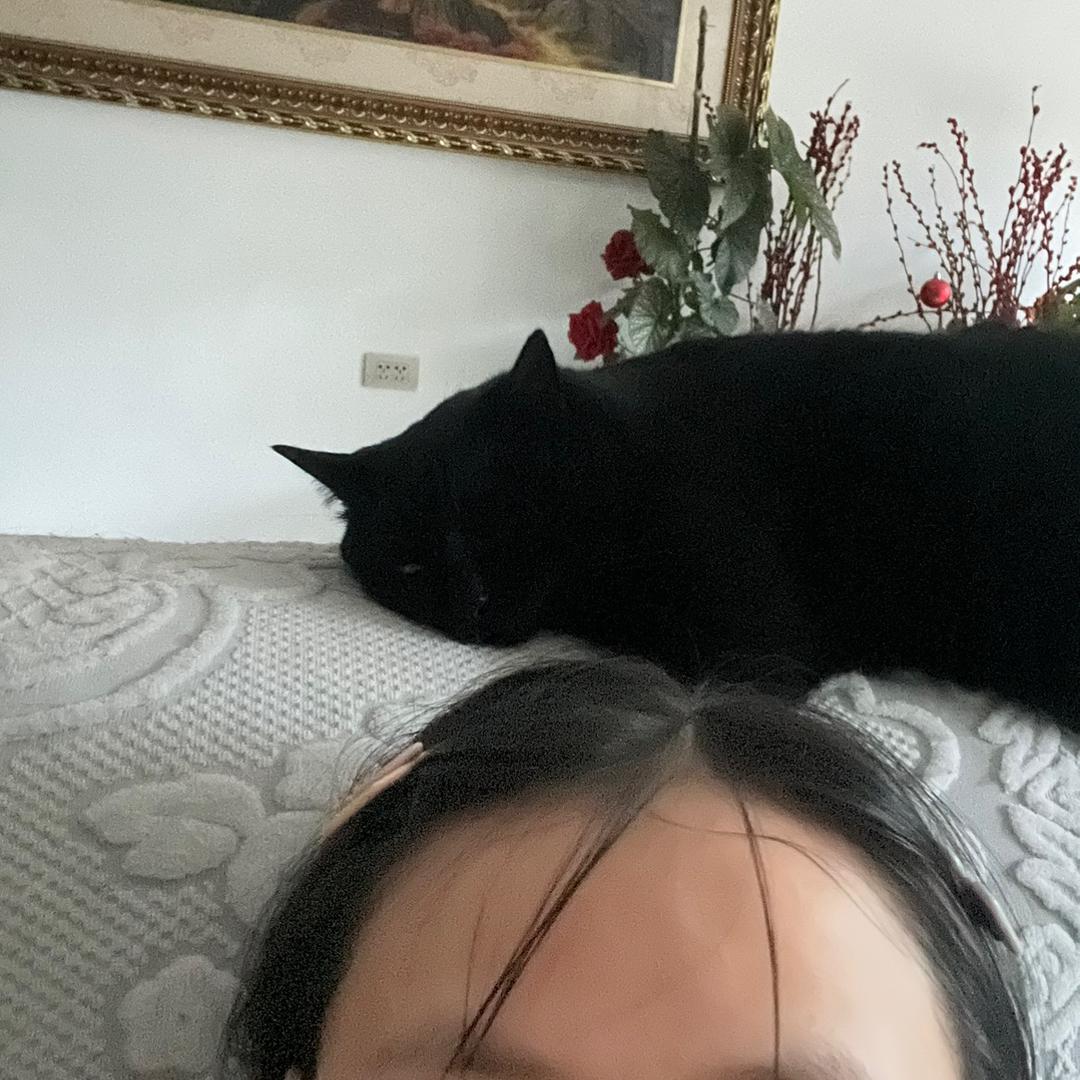 老谢一家喵喵喵汪