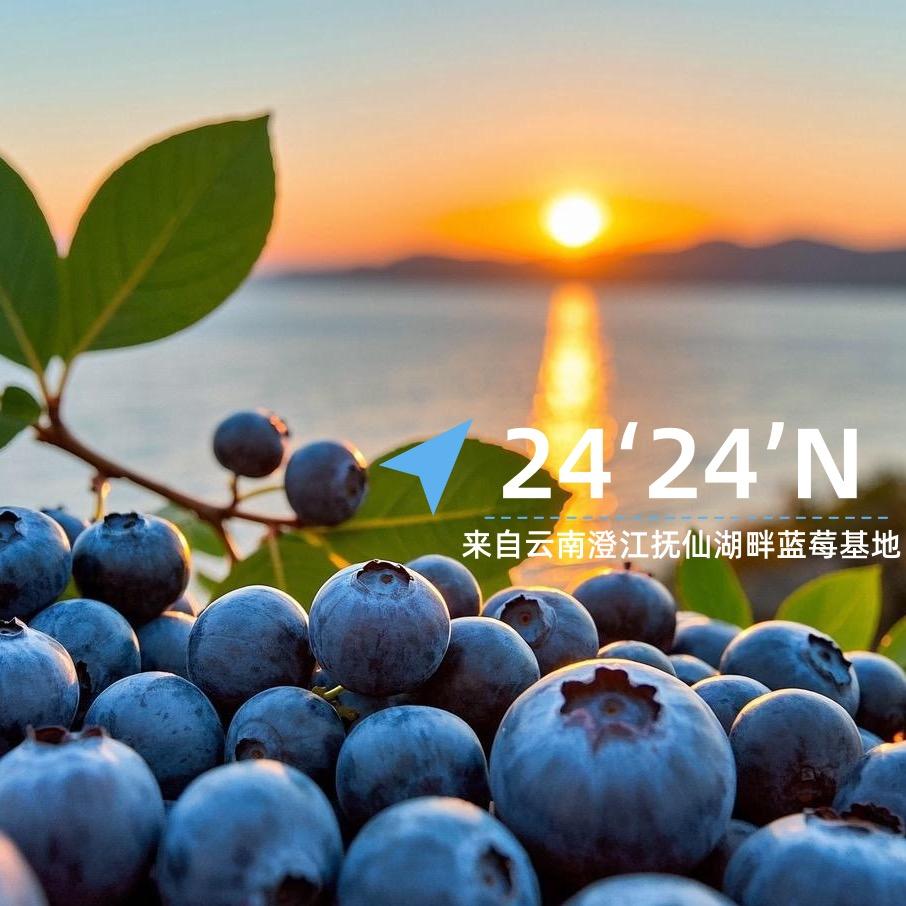 大白爱吃蓝莓(福利号）