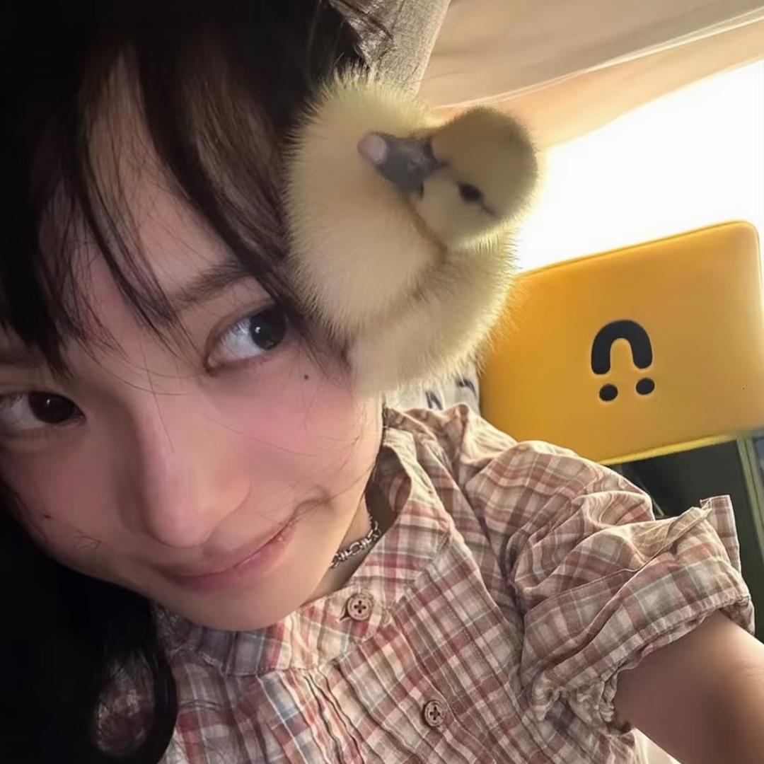 盲盒ㅤㅤㅤㅤ