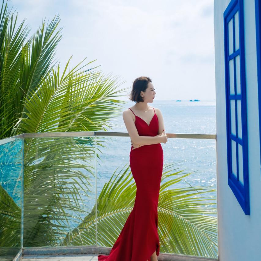 🎀 花晨月夕🎀