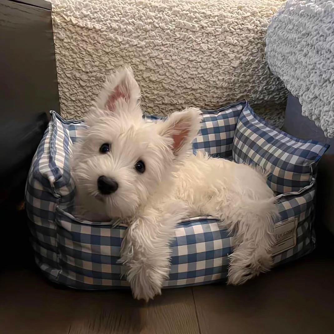 如果世界是个群我早退了