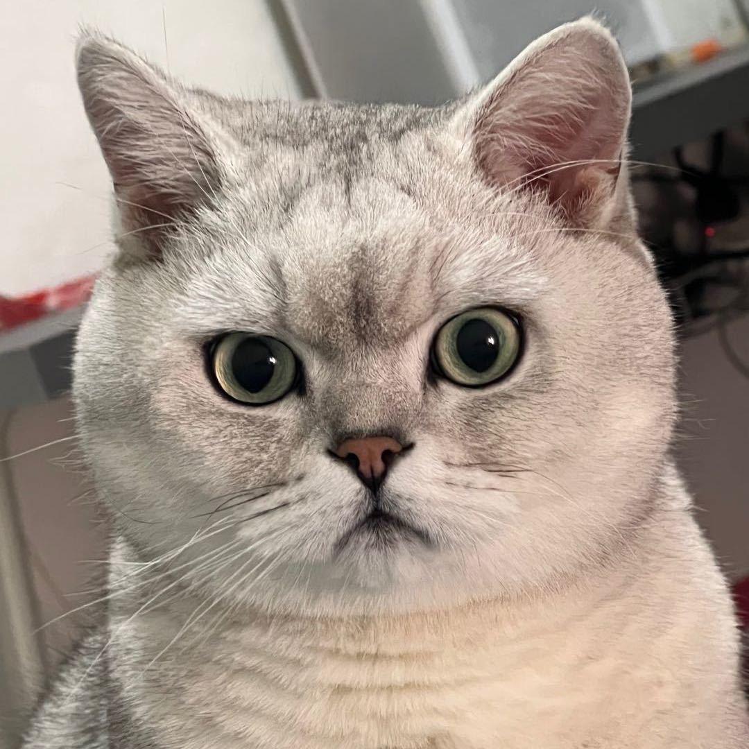 宁逍遥